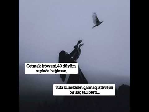 🎶😴Whatsapp ucun maraqli,MƏNALI statuslar,status ucun videolar,QEMLİ WHATSAPP STATUSLARI 2022