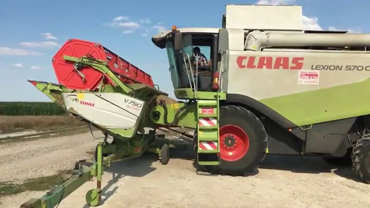 Wheat Harvesting with Claas Lexion 570 C Tractor  | Food Estate