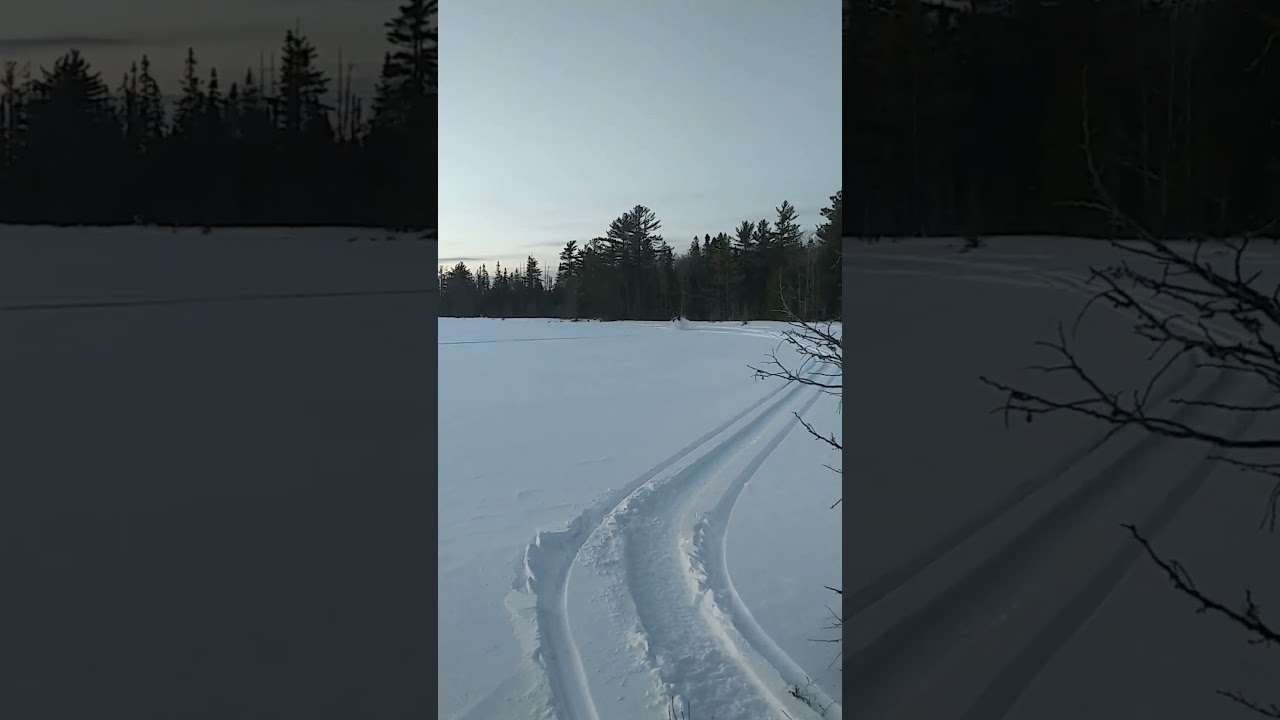 Wheelie happy Assault!   2022 Polaris Switchback Assault Matryx 146 in action!