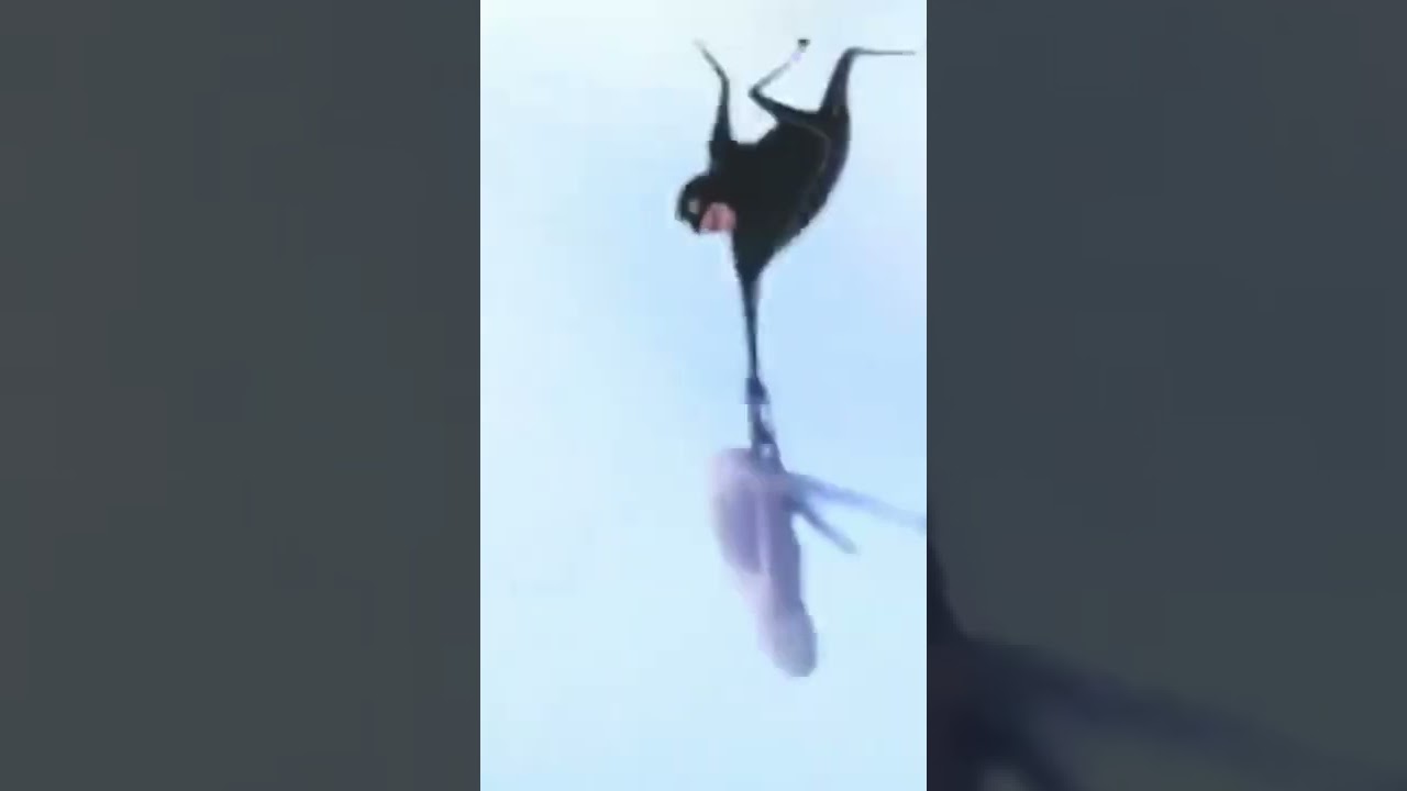 When Gru’s brother falls with gru into the Spikes.