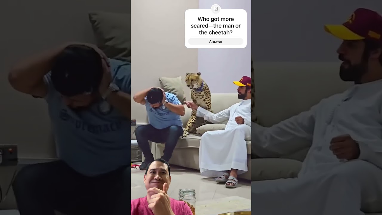When Your ‘Pet’ Cheetah Gets Spooked! 😱 Is This Really a House Pet? #wildlife #animals #shortsvideo