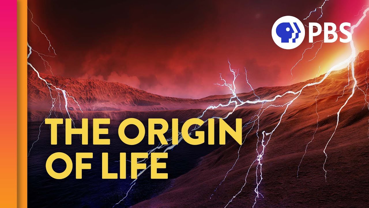 Where Did Life Come From? (feat. PBS Space Time and Eons!)