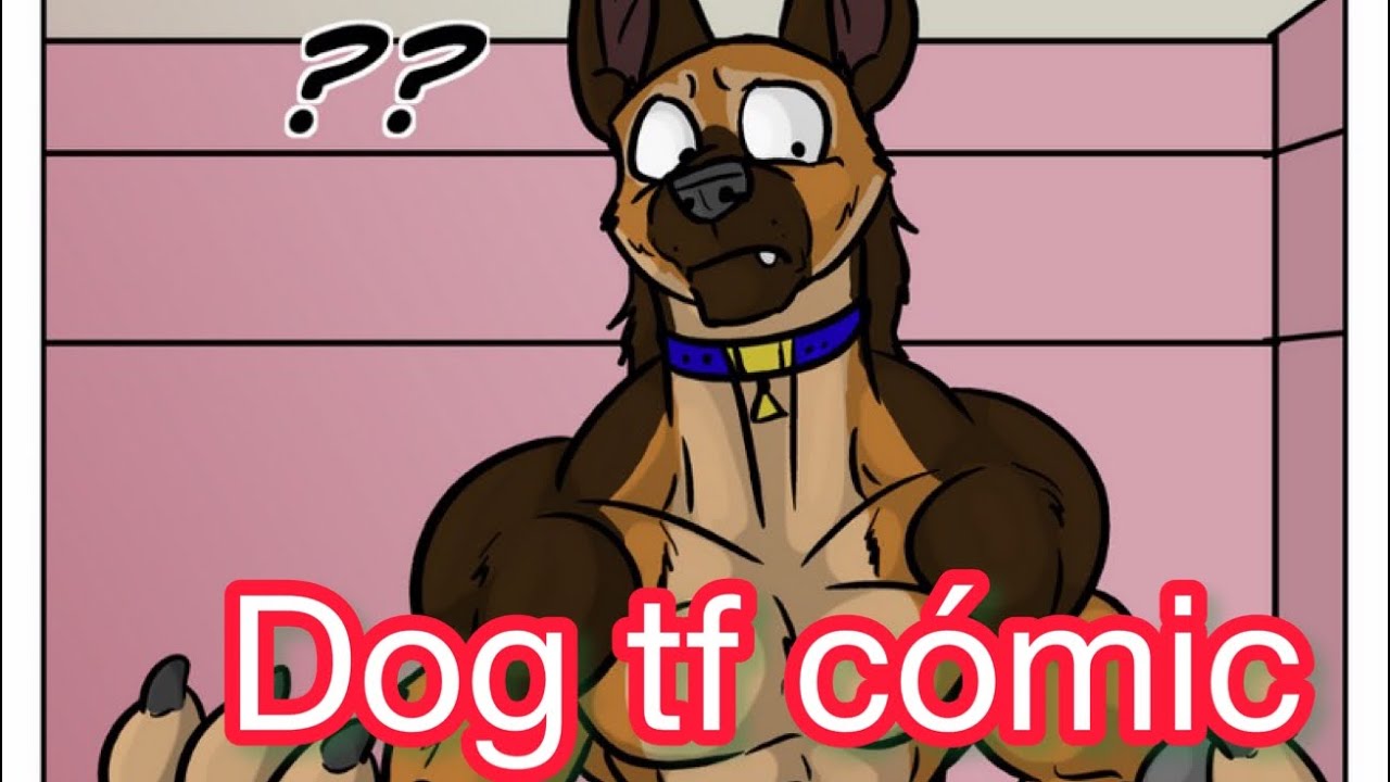 Wheredog tf cómic (By BlackRat) 💎🤛🏻🐺🥶🐉🦊