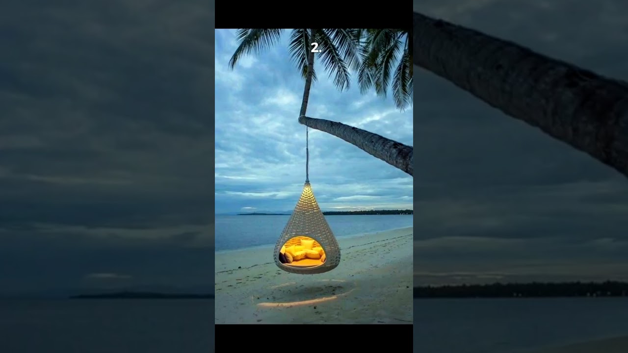 which one would you choose? (Ark patrol - let go) #shorts #relaxing #live
