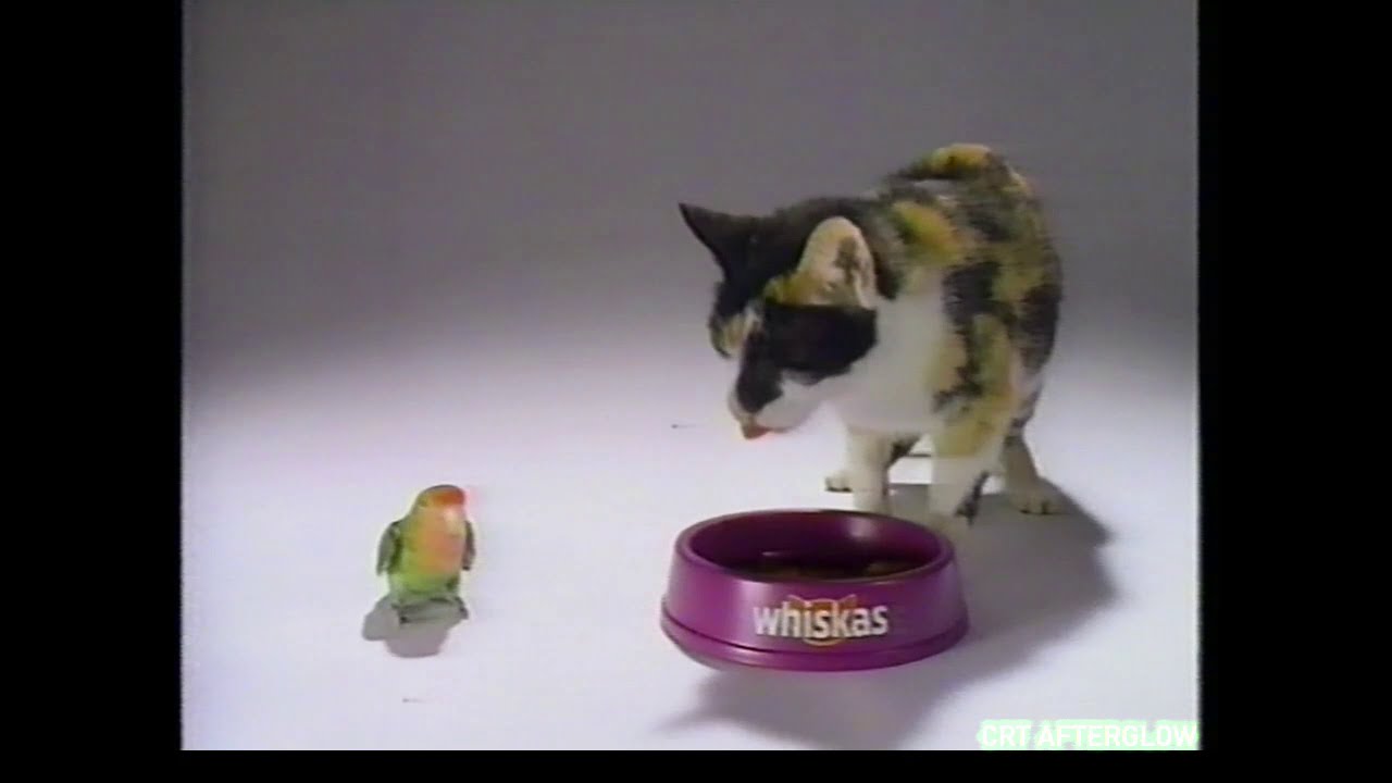 Whiskas 1992 Commercial | Talking Parrot | Cats Would Buy Whiskas