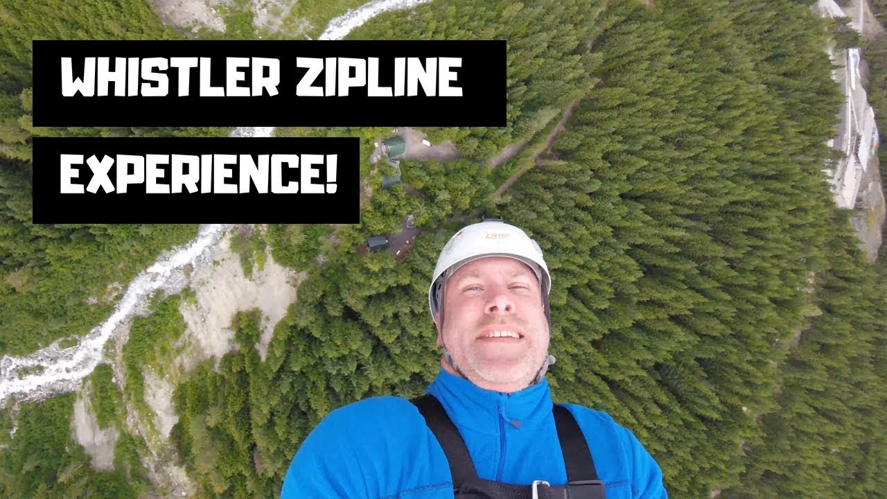 Whistler Zip Line - My Zipline experience and surprise black bear sighing