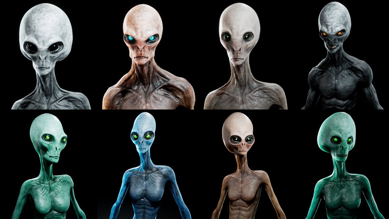 Who are Grey Aliens?