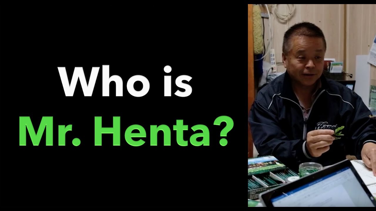 Who is Mr. Henta?