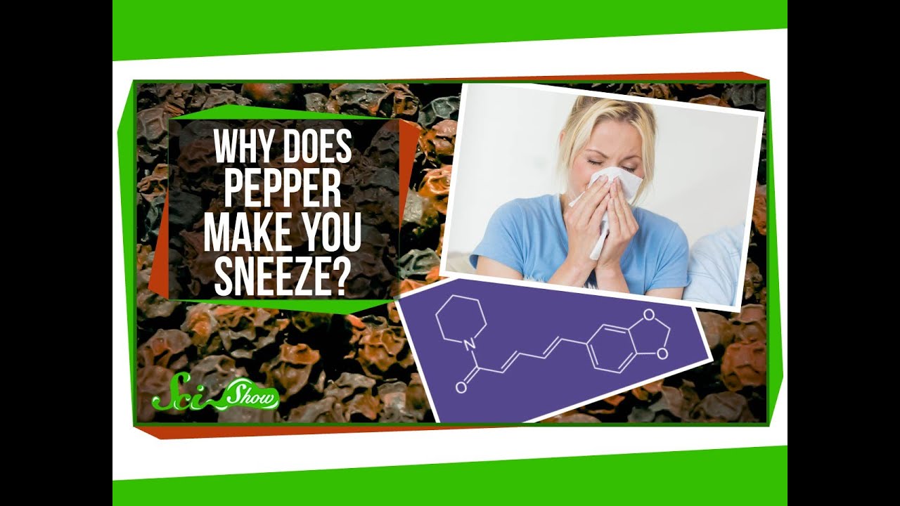 Why Does Pepper Make You Sneeze?