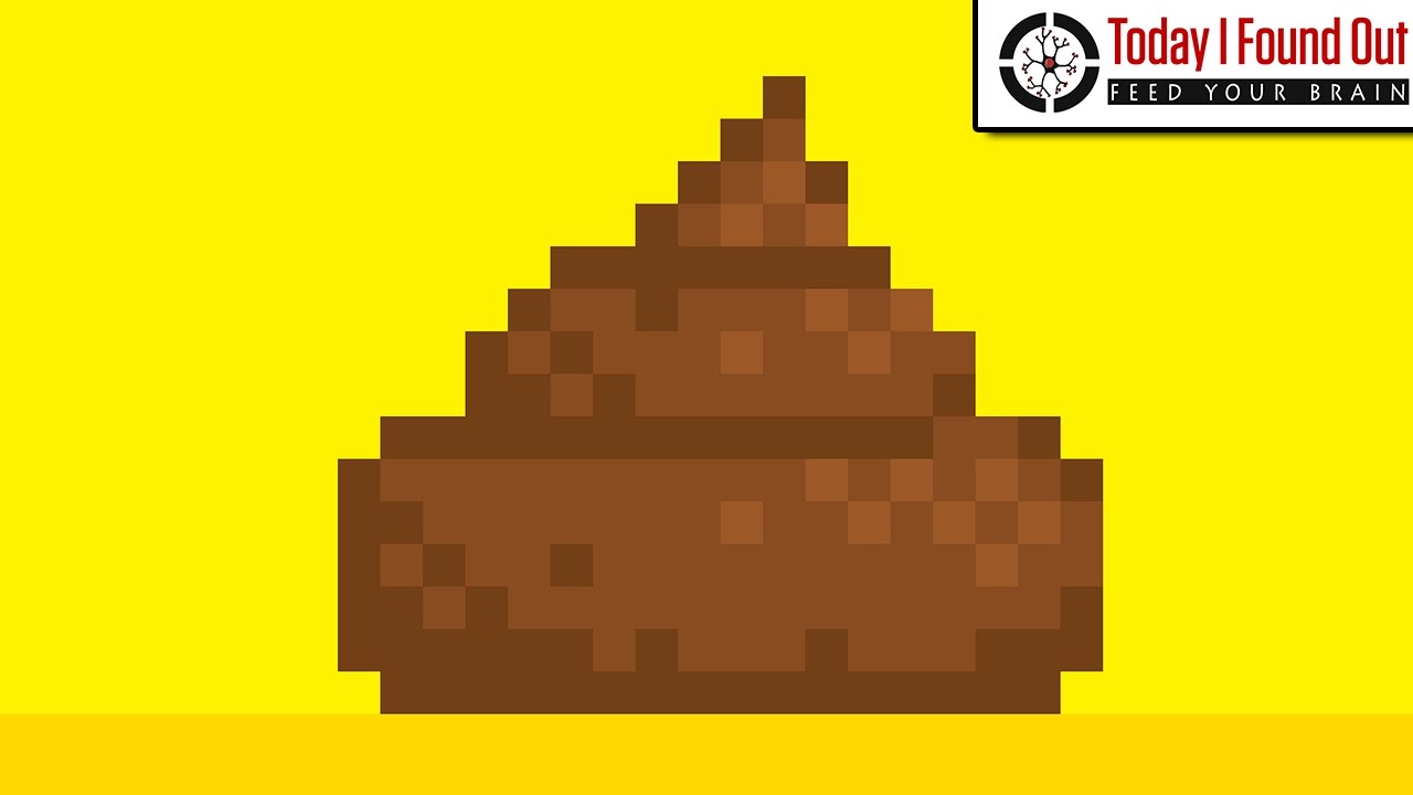 Why is Poop Brown?