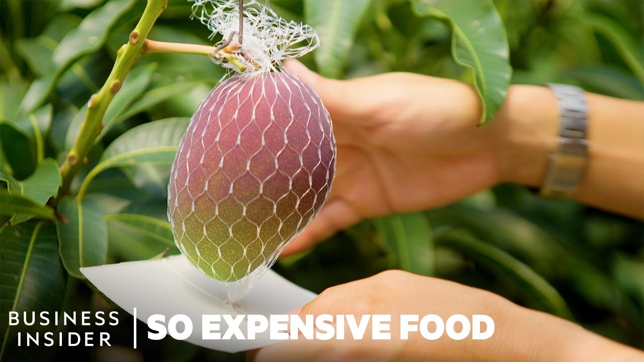 Why Miyazaki Mangoes Are So Expensive | So Expensive Food | Business Insider