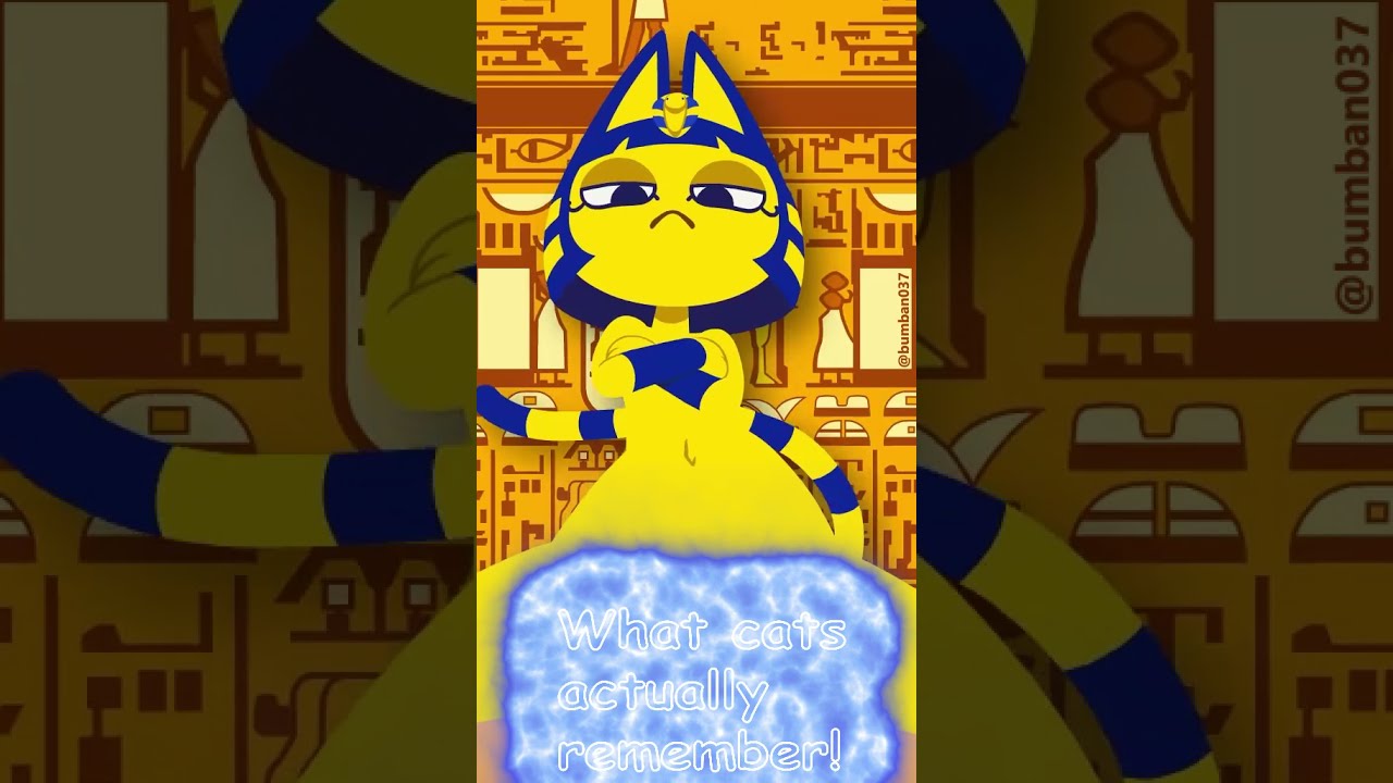 Why, why did I create this 👁👄👁 (Ankha meme) #shorts