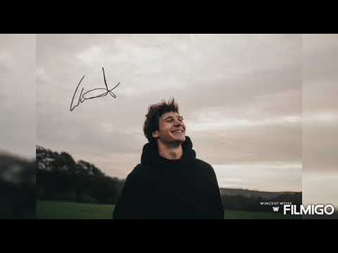 Wie gemalt - Wincent Weiss (Lyrics)