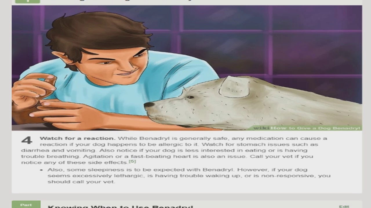 Wikihow Dog Training