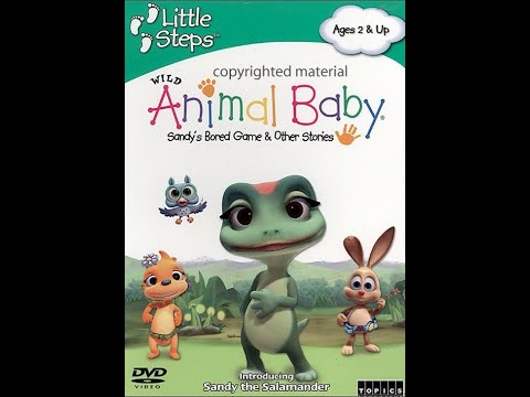Wild Animal Baby - Sandy's Bored Game & Other Stories (2006 DVD)
