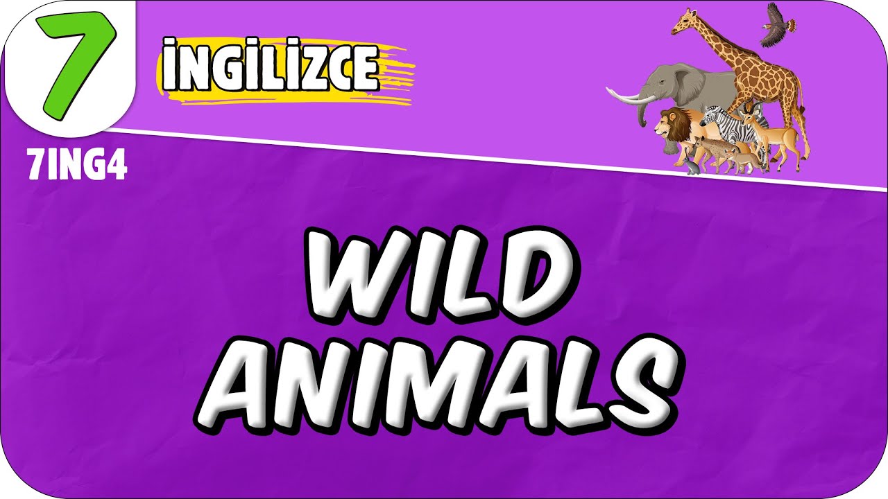 Wild Animals 📚 7ING4 #2025