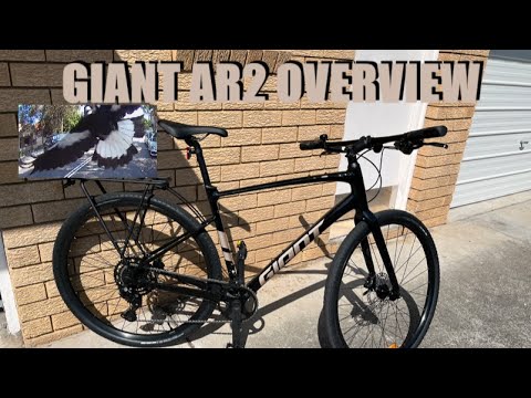 WILD BIRD ATTACKS me during GIANT FastRoad AR2 overview