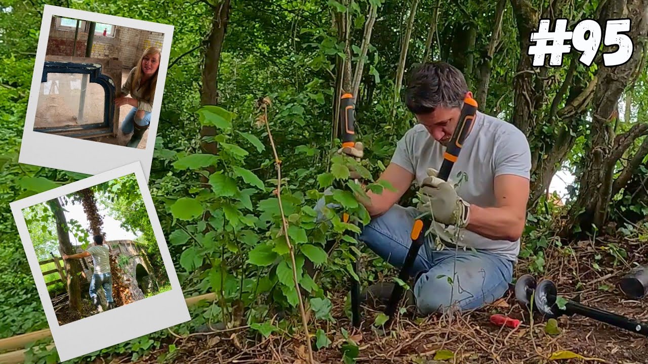 WILD Garden RENOVATION at Our Railway Station + A Fun Craft Project!
