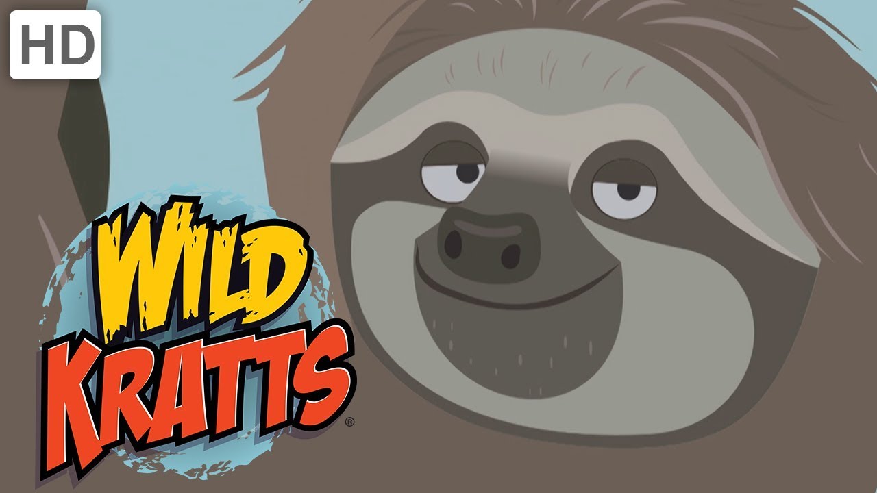 Wild Kratts - Hanging and Swinging 🐒 | Kids Videos