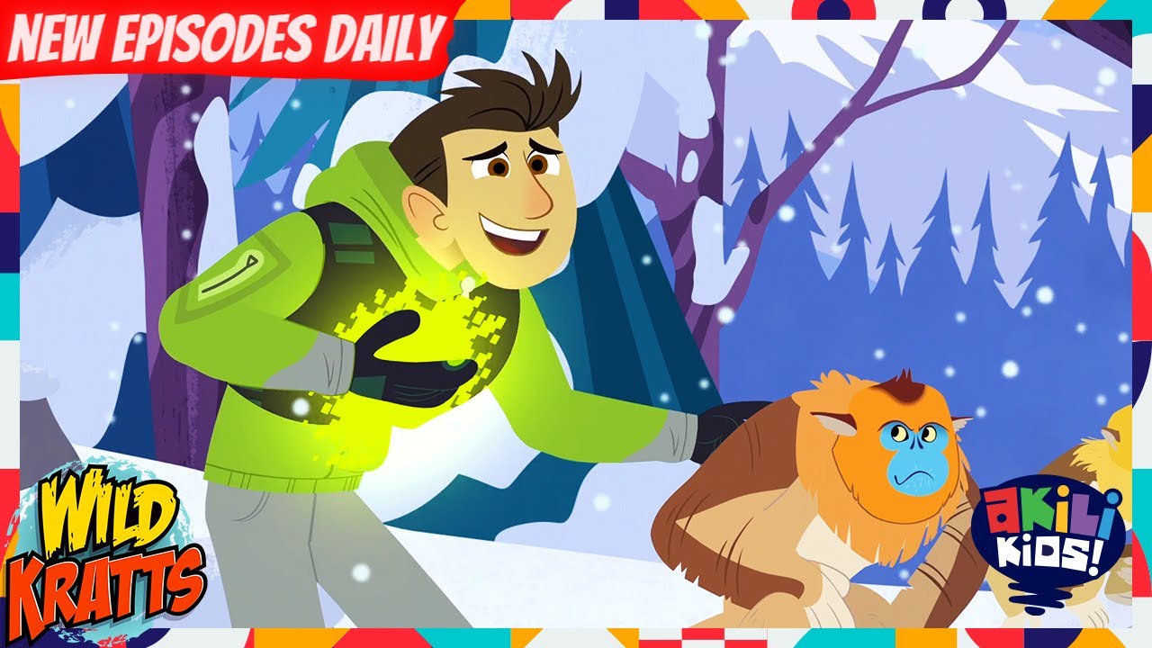 Wild Kratts | Lost In The Snow | Akili Kids!