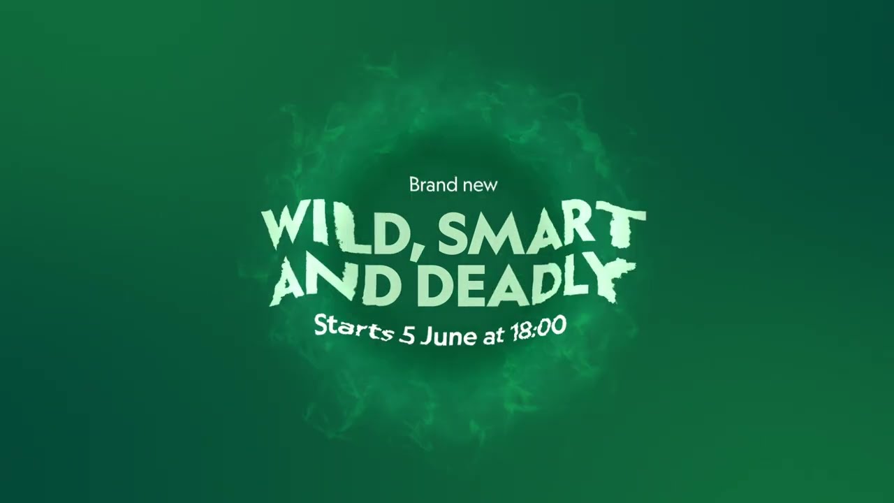 Wild, Smart And Deadly | Starts
