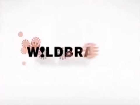 WildBrain logo (2007)