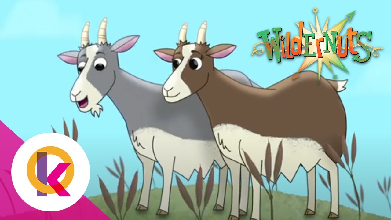 Wildernuts - Finding Your Feet | S2 E26 | Kids Cartoon!