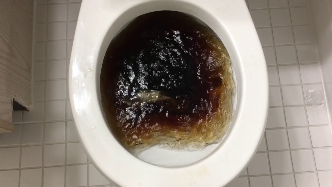 Will it Flush? - Diet Coke