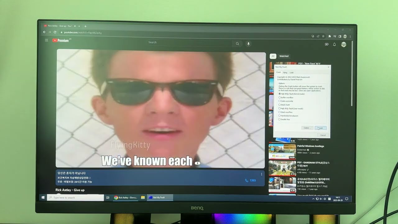 Windows 10 GSOD Compilation Part 2