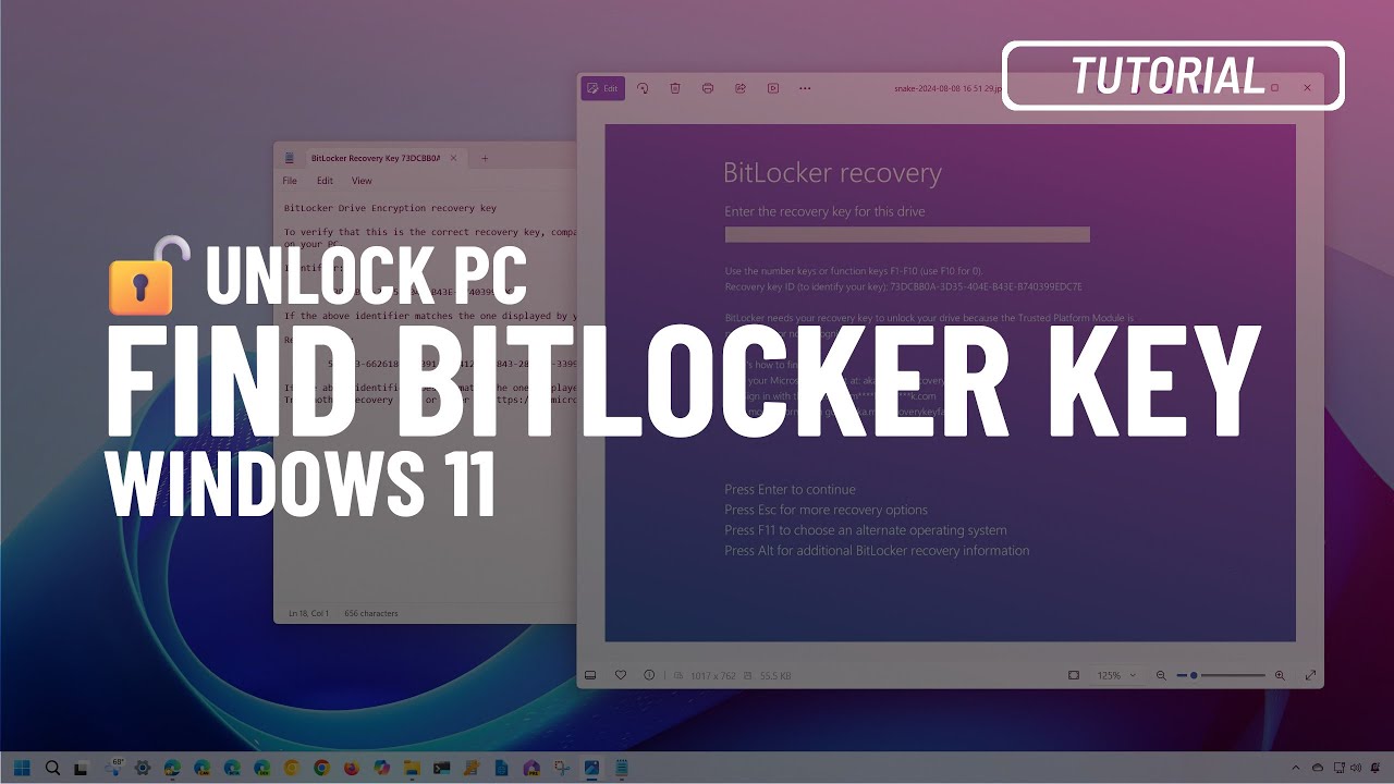 Windows 11, 10: Find and apply BitLocker recovery key to unlock PC