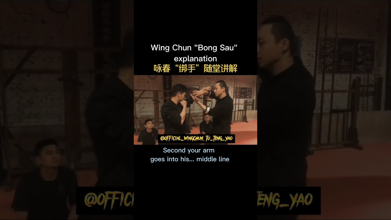 Wing Chun Techniques: How to Use the 