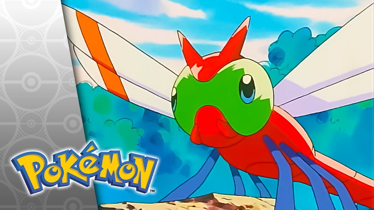 Wings 'n' Things | POKÉMON FULL EPISODE 20 | Season 4