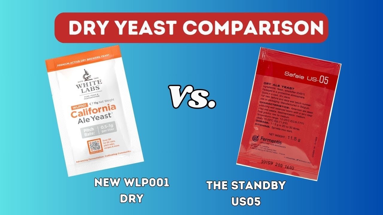 WLP001 vs. US-05 Dry Yeast Comparison - Brew Dudes