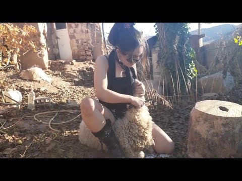 woman butcher goat/ Educational video