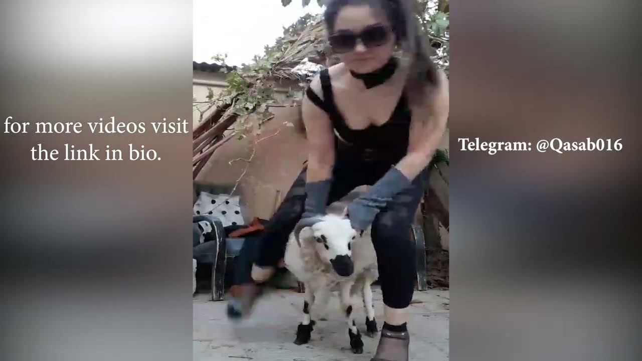 woman butcher sheep/ Educational video
