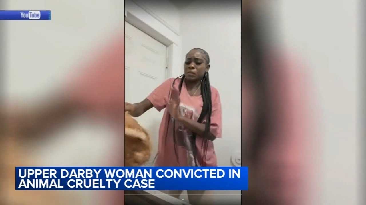 Woman convicted of torturing animals for social media likes