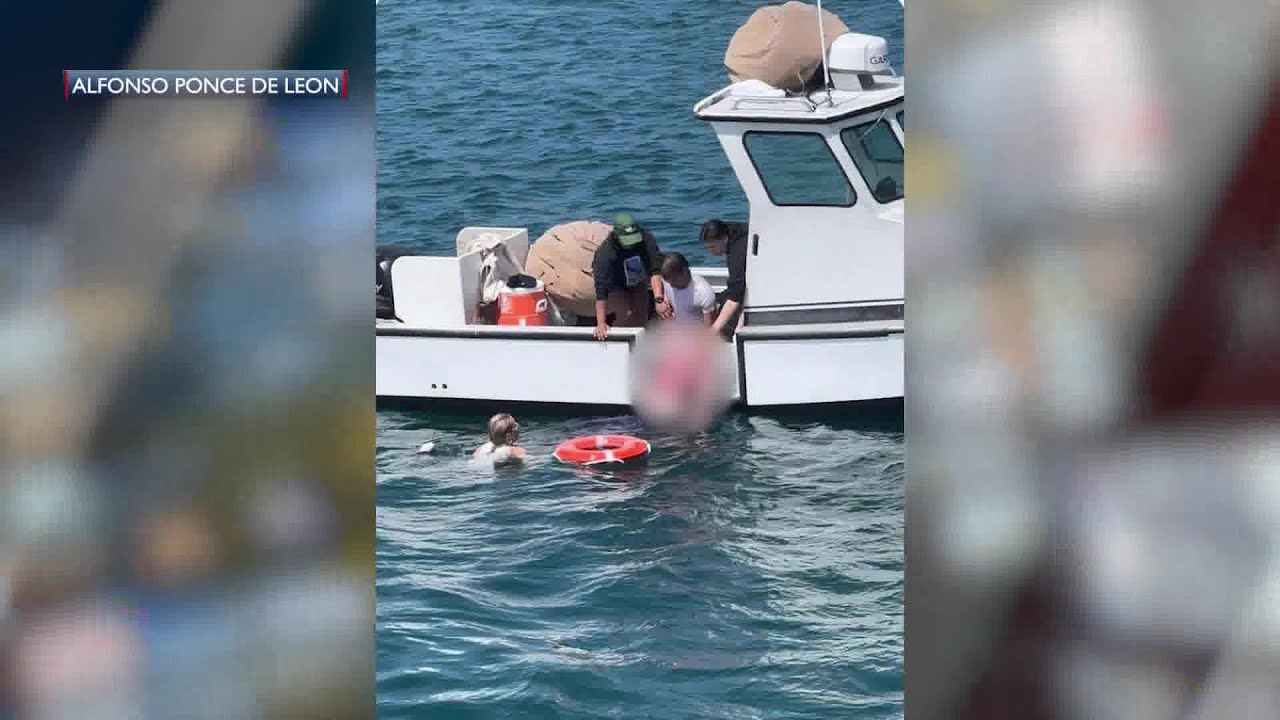 Woman dead near Santa Barbara Harbor after attempted water rescue