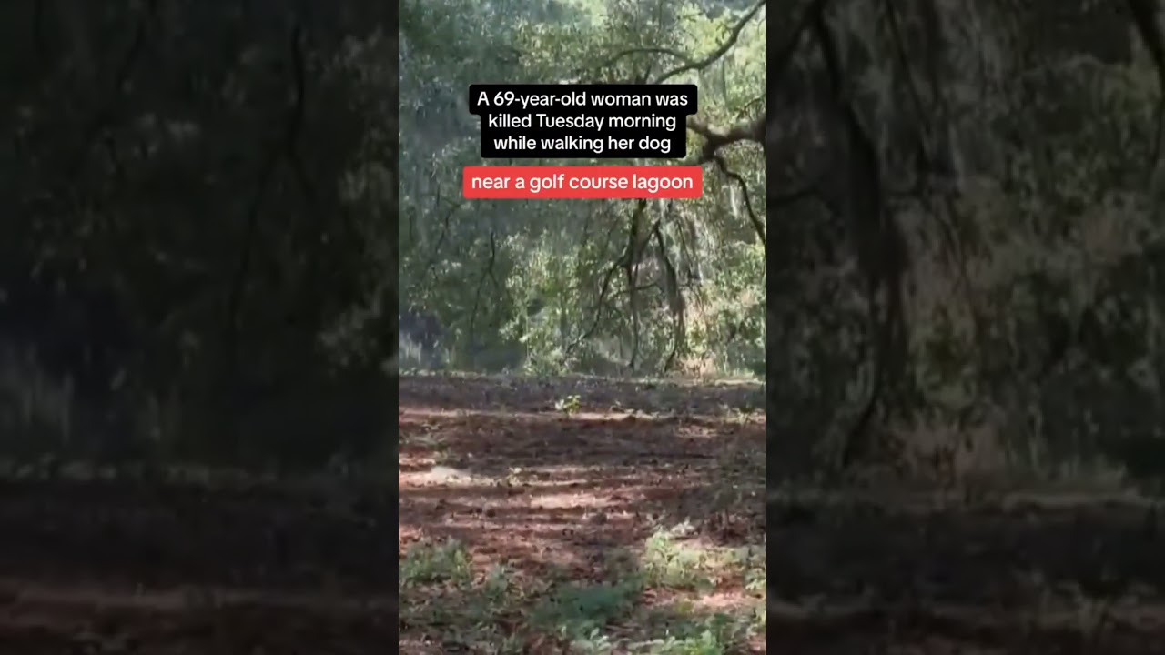 Woman killed in alligator attack while walking dog near golf course in South Carolina #shorts