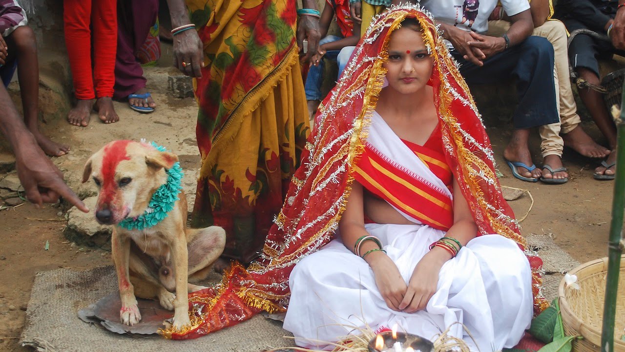 Woman Marries Dog In Traditional Ceremony In India