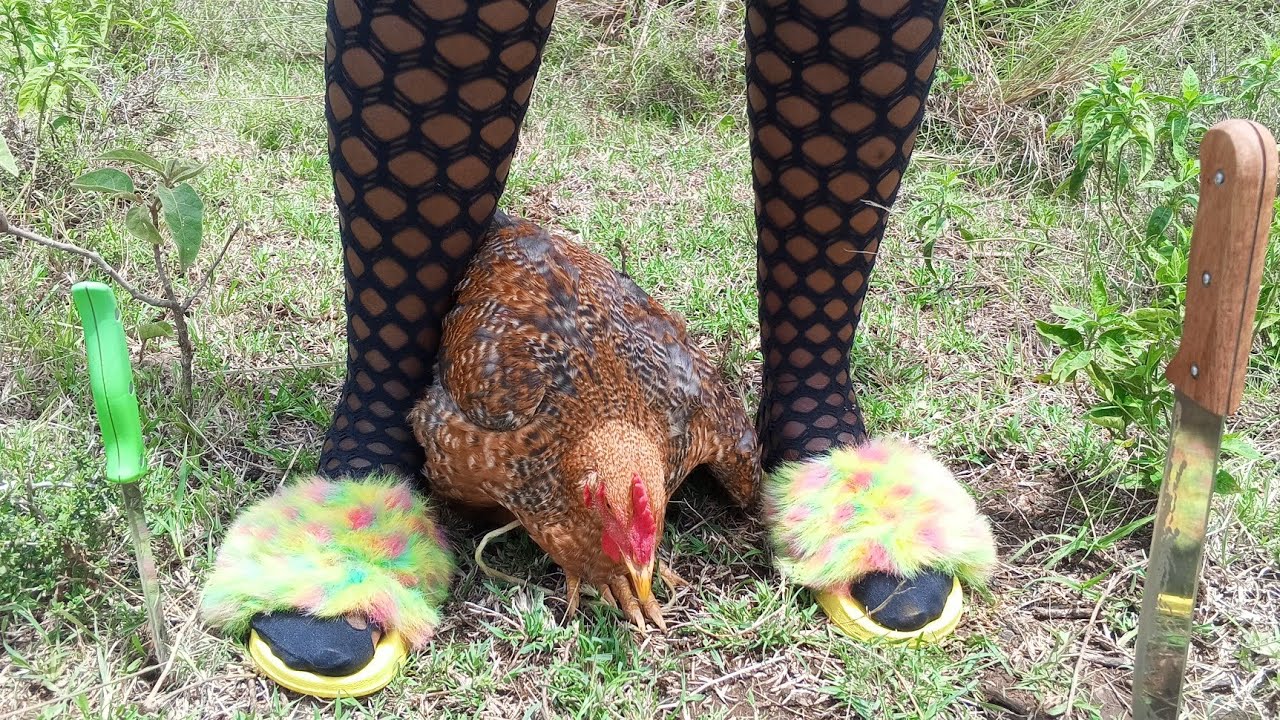 Woman Slaughter Chicken in Pantyhose (Episode 17)