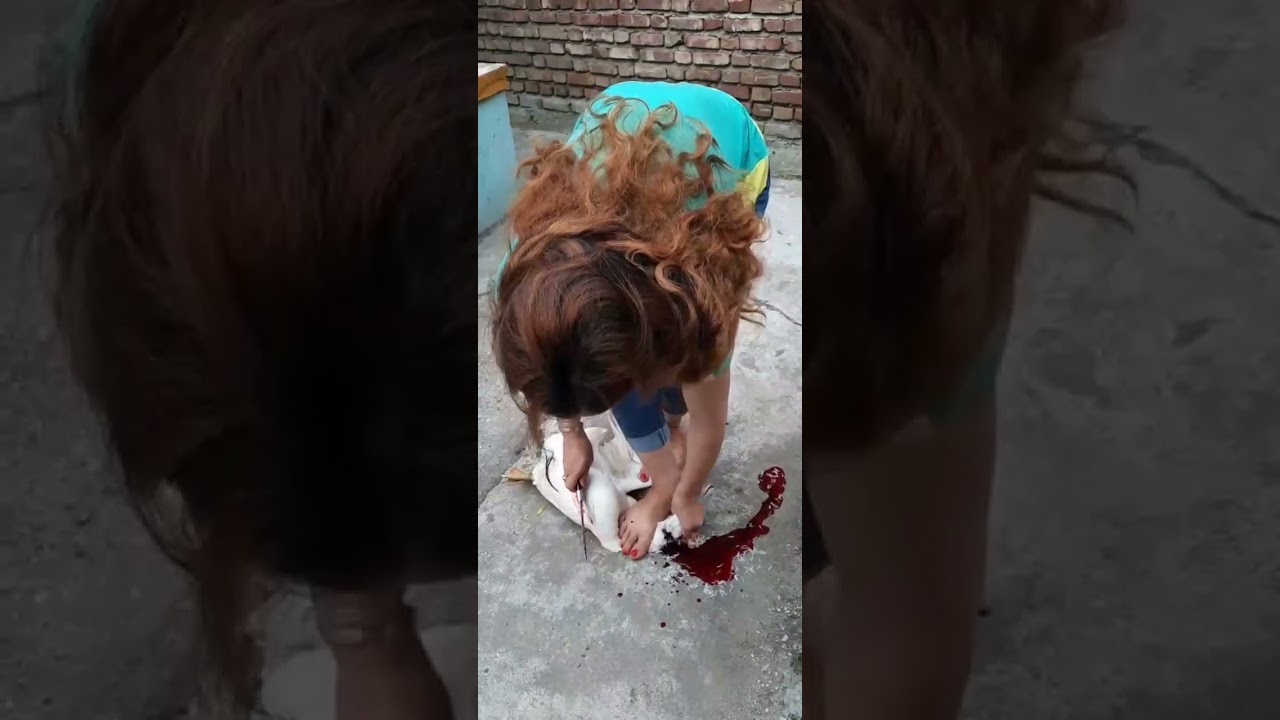 Woman slaughter duck under feet،،telegram channel : slaughterkings