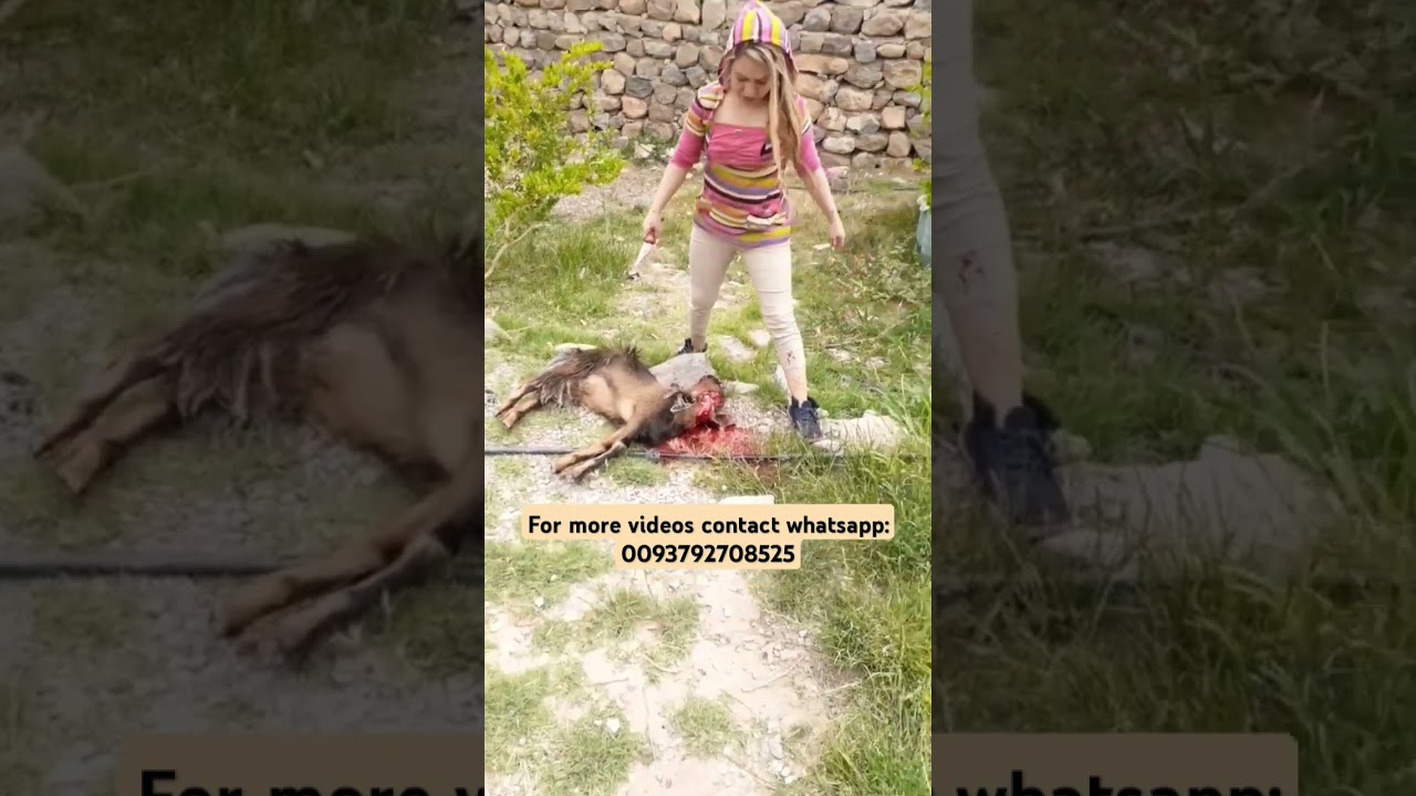 woman slaughter goat/ Eid qurbani