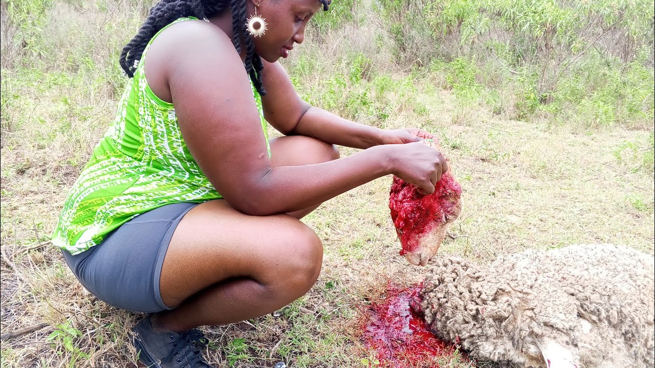 Woman Slaughter Sheep 🐑 (Episode 1)