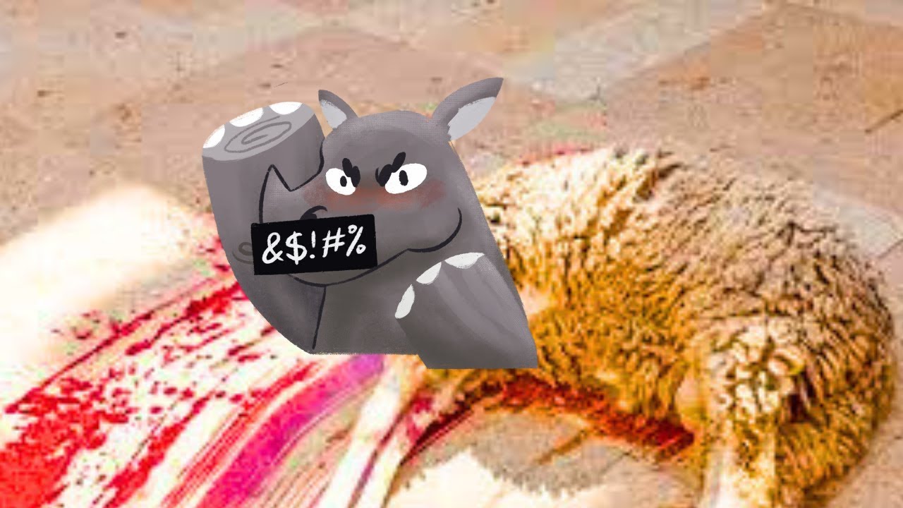 Woman Slaughter Sheep 🐏 (Episode 17)