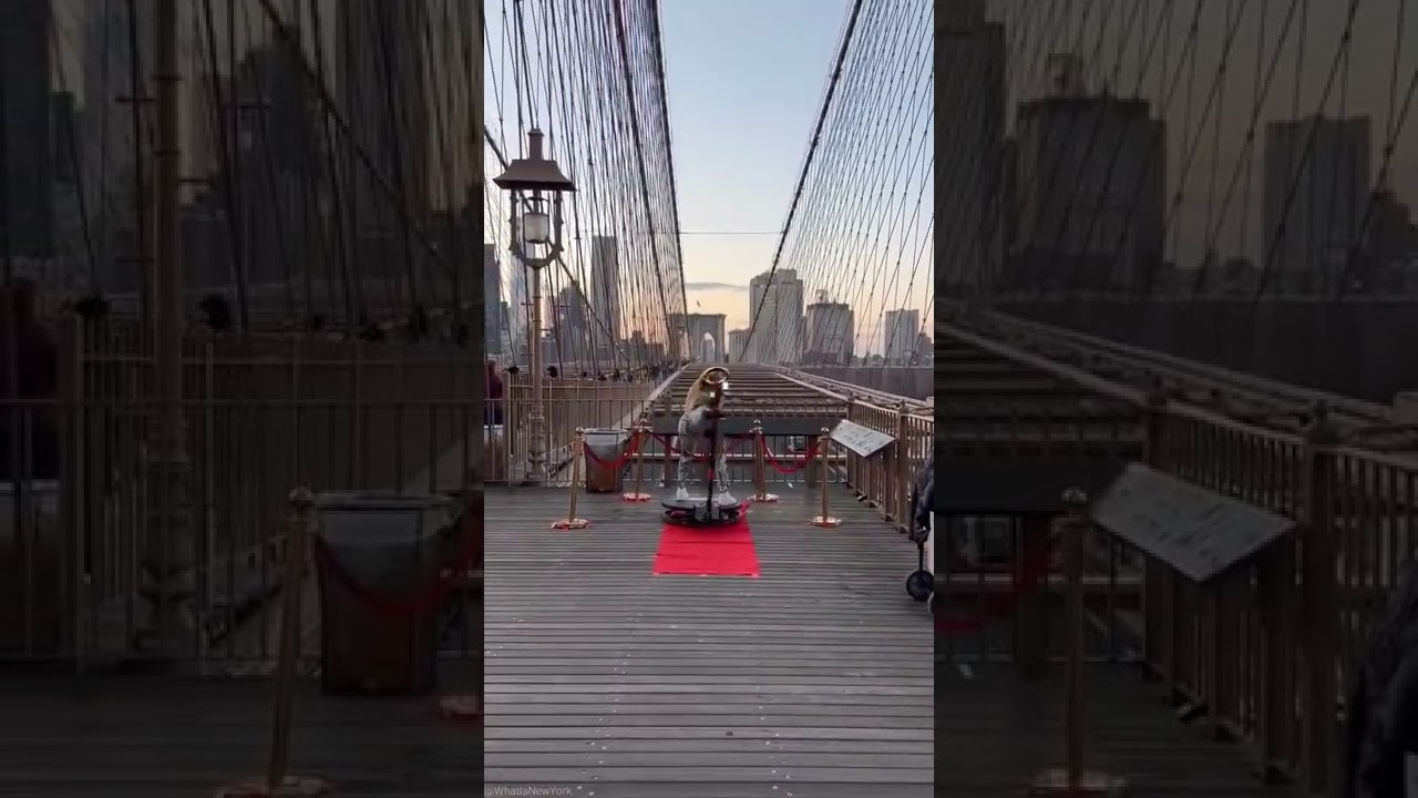Woman twerking on Brooklyn Bridge. #onlyinnewyork #nycviral #viralshorts #nyclifestyle #twerk