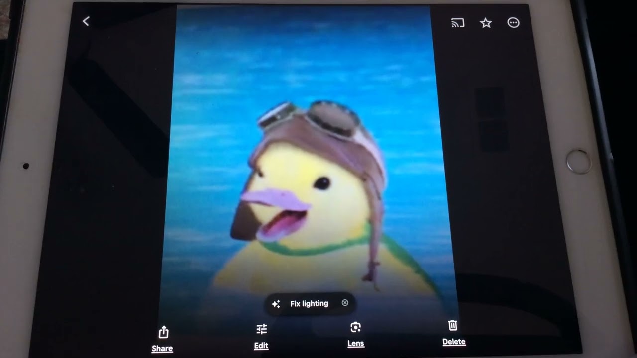 Wonder Pets
