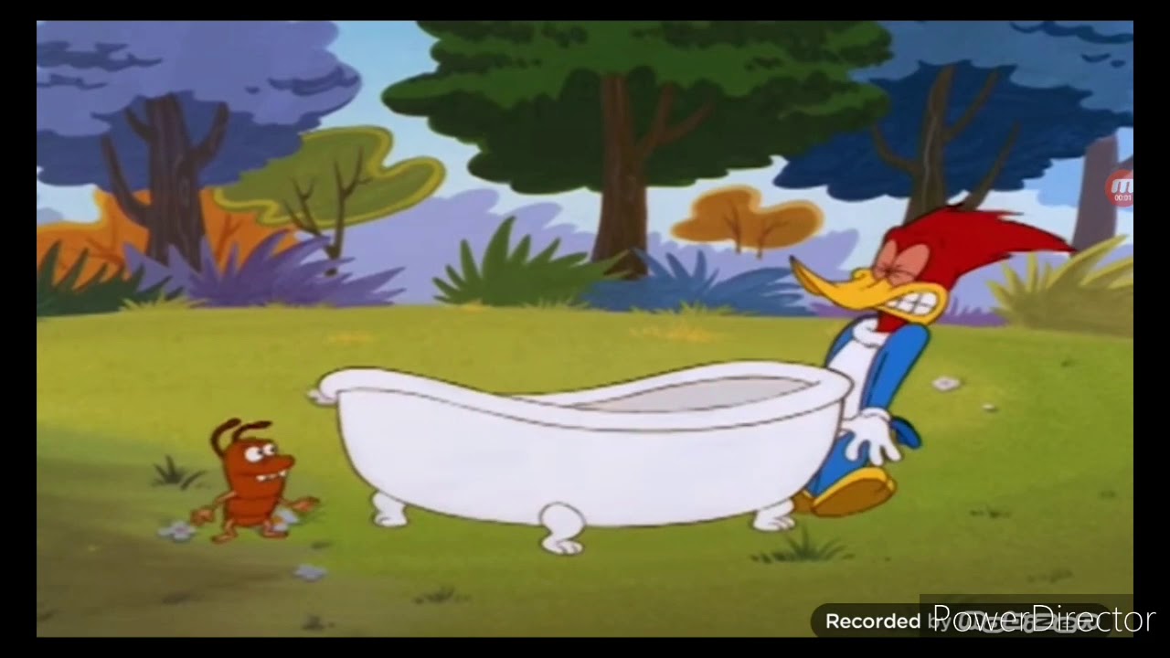 Woody woodpecker perfectly cut scream