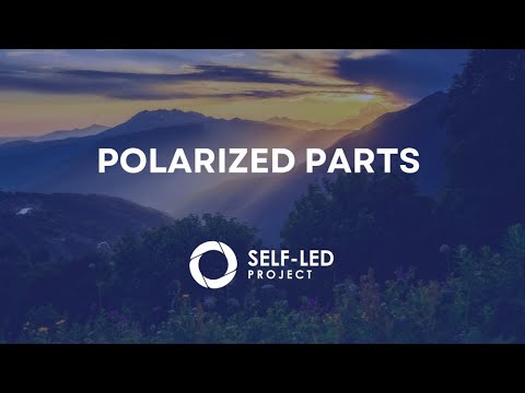 Working with Polarized Parts