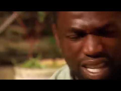 Worlds deadliest animals in Africa