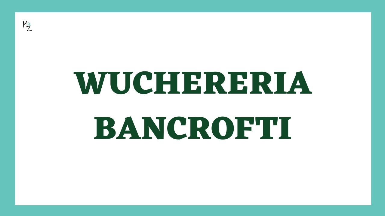 Wuchereria bancrofti Lifecycle | Lymphatic filariasis | Elephaniasis | Filarial Worm or Nematode